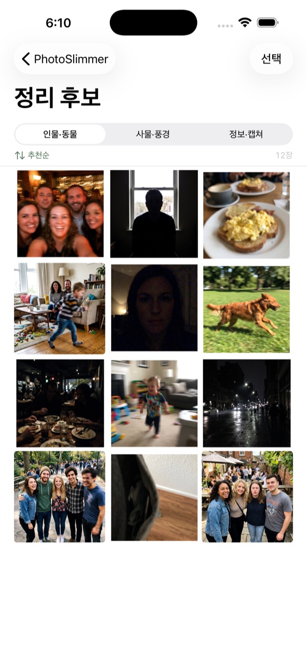 PhotoSlimmer categorized cleanup grid